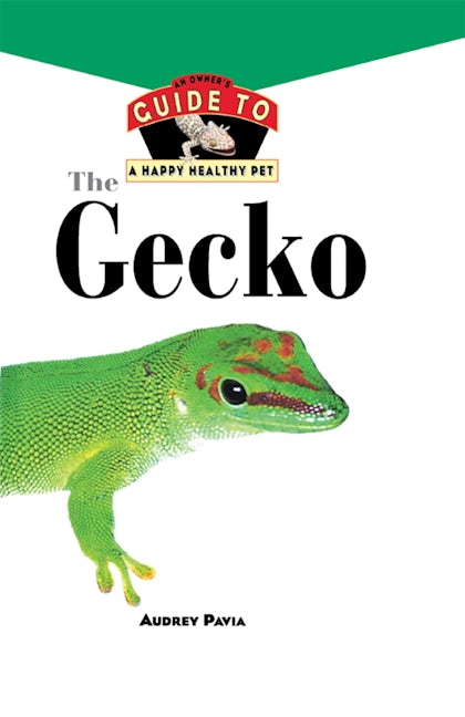Book cover image for The Gecko ISBN: 9781620457290